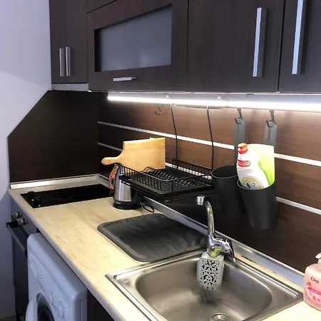 Black Sea Shark チェルノモレツ