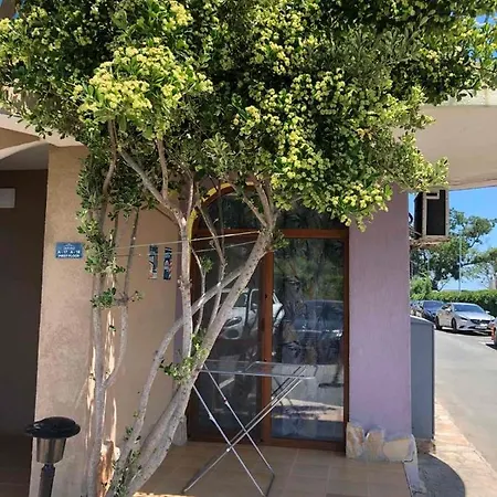 Black Sea Shark アパート チェルノモレツ