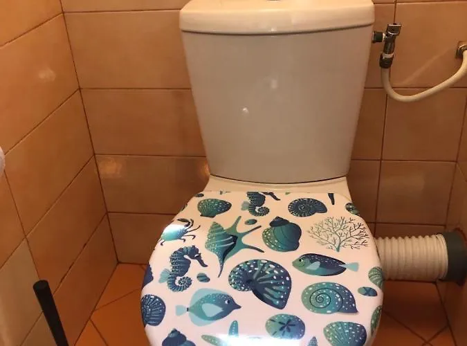 Lejlighed Black Sea Shark Chernomorets