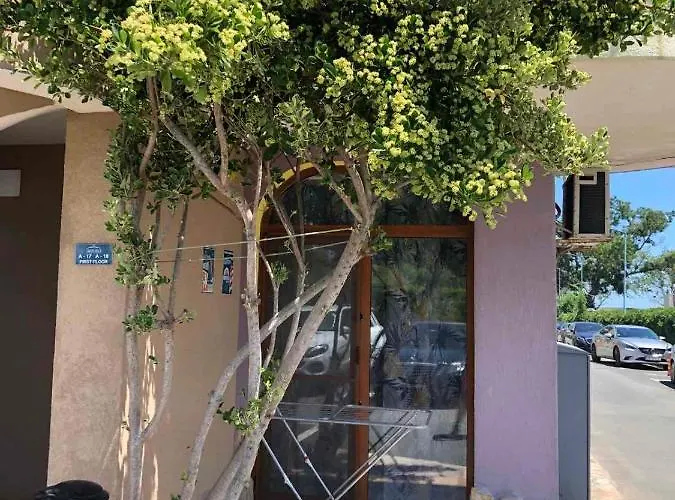 Black Sea Shark Lejlighed Chernomorets