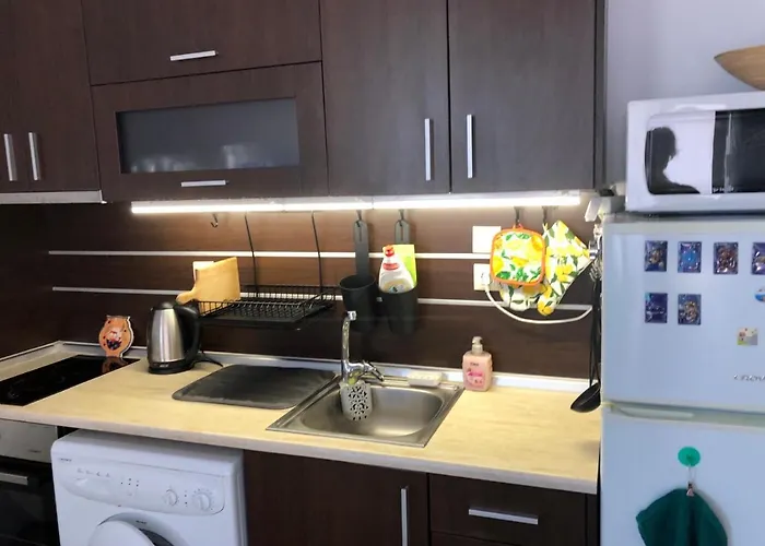 Black Sea Shark Chernomorets